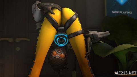 可以自由选 可以自由选