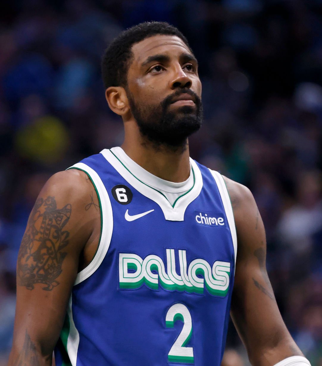 新鲜的活力 新鲜的活力