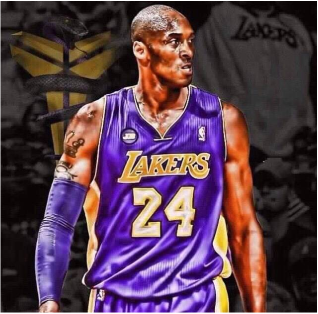 新星與新陣 新星與新陣